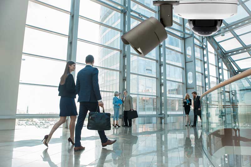 Business Video Surveillance Systems